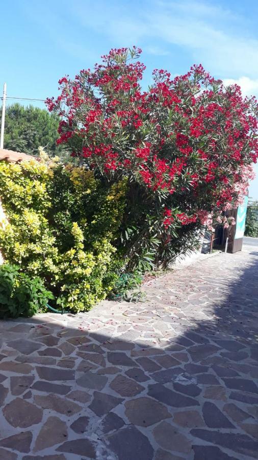 Bed & Breakfast Sabrina Airport Fiumicino